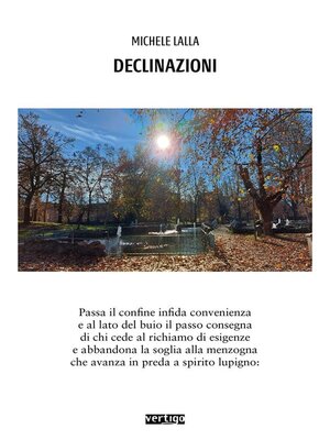 cover image of Declinazioni
